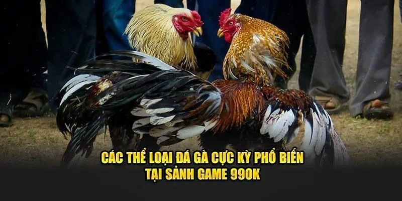 Giải đấu Thomo nhận sự quan tâm đặc biệt